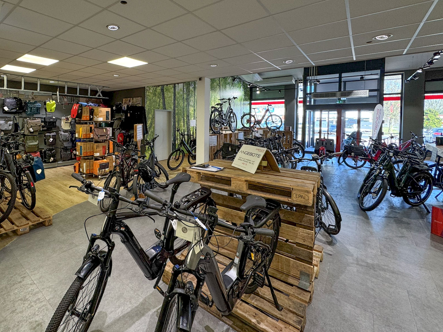 fahrradständer bestellen DRAGONWORKS MX für E-Bikes mit Mittelmotor - Robuste Konstruktion mit 45 kg Traglast - Wartungsfreundlicher Ständer mit drehbarem Hinterrad no-sale-subscription Option:55-59 cm E-Bike-Förderungen in Europa 2026